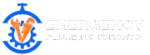 emergency plumbing Toronto logo